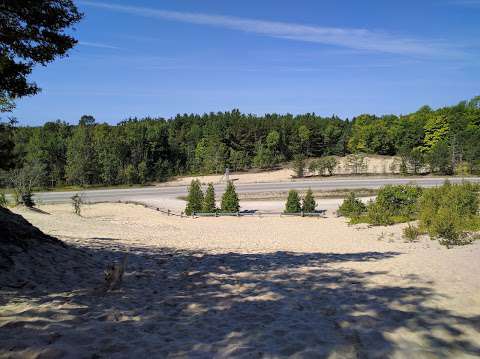 Sauble Inland Dune